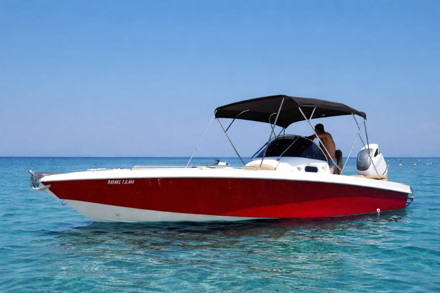 Pavlis 350HP